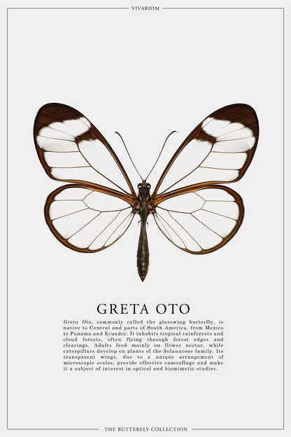 GRETA OTO