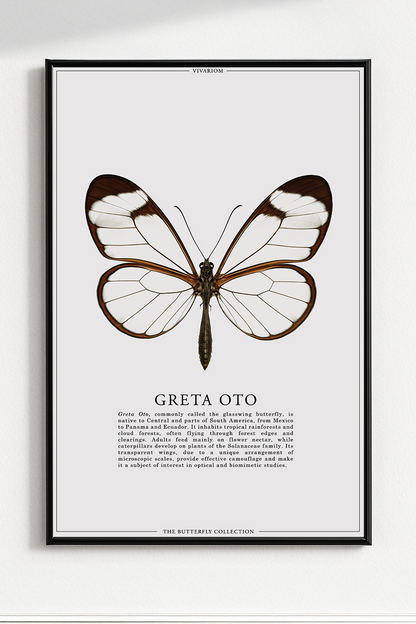 GRETA OTO