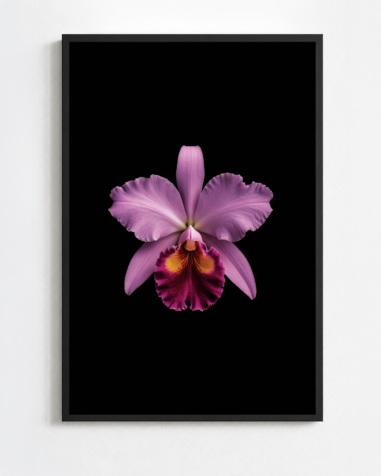 CATTLEYA LABIATA
