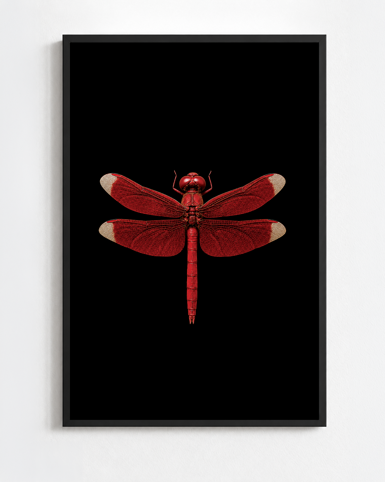 NEUROTHEMIS FULVIA