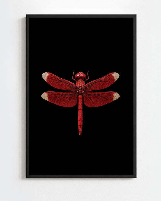 NEUROTHEMIS FULVIA
